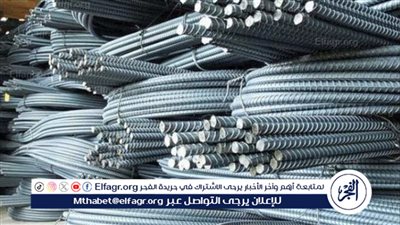 استقرار أسعار الحديد والأسمنت اليوم في الأسواق المصرية