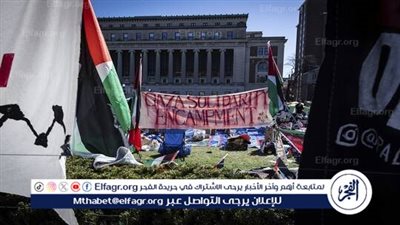 خبير: دولة الاحتلال تعرضت لضربة كبرى بوقف بعض الجامعات الأمريكية الاستثمارات معها