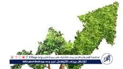 التحول الأخضر: رحلة نحو الاستدامة البيئية