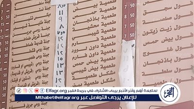 محافظ الغربية يقود حملات تفتيشية مفاجئة على المخابز والمطاعم