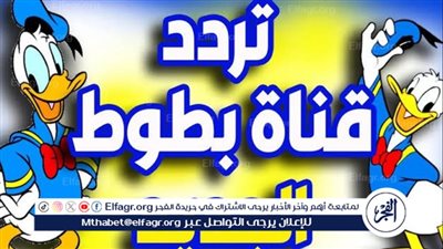 نزل أقوى إشارة لتردد قناة بطوط للأطفال 2024 واستمتع