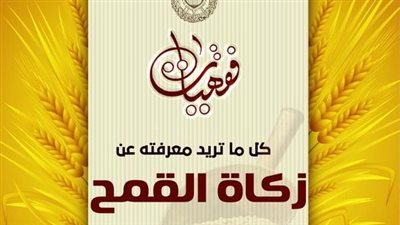 هل حبوب القمح يجب فيها الزكاة ومتى بلغ النصاب؟ الأزهر للفتوى يجيب 