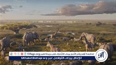 ديزني تكشف عن صور وتريلر فيلم Mufasa: The Lion King.. تعرف علي موعد العرض والأبطال