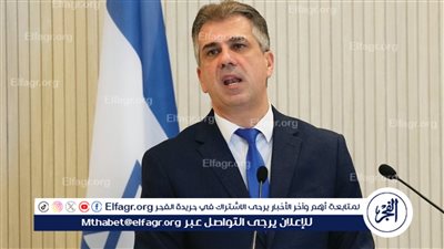 وزير الخارجية الإسرائيلي: إذا لم ينسحب حزب الله من الحدود فإننا نقترب من حرب شاملة