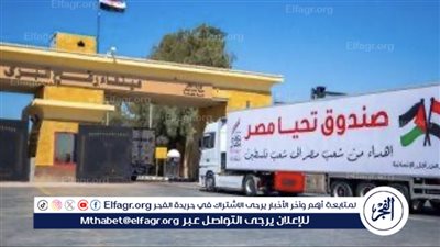 دعم إنساني مصري لقطاع غزة.. دخول 37 شاحنة مساعدات عبر معبر رفح