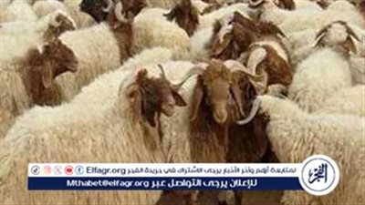 حجز أضاحي العيد من وزارة الزراعة 2024 بالمحافظات