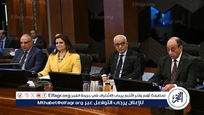 عاجل.. الحكومة توافق على شهر سماح لاستكمال إجراءات الدفع في مبادرة سيارات المصريين بالخارج