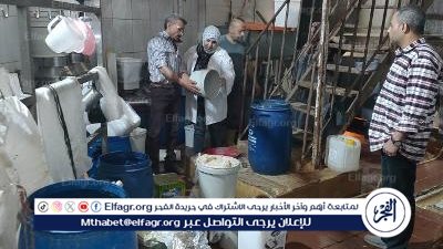 إحالة 194 محضرا حررتها لجان الرقابة على الأسواق للنيابة العامة بالدقهلية 