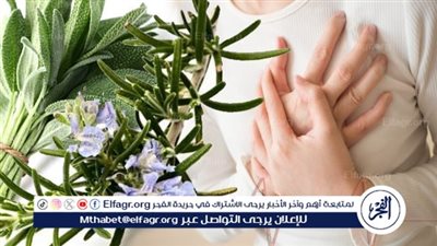 استشاري يكشف علامات ضعف عضلة القلب وأسبابه