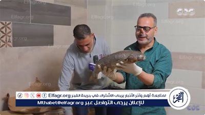 شاهد.. جابر القرموطي بـ 