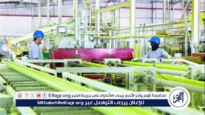 تفاصيل الخطة الحكومية لتطوير عمل شركة النصر للمسبوكات