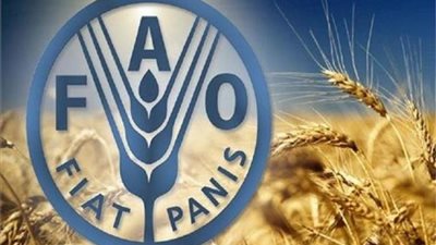 الفاو: أسعار المواد الغذائية ترتفع للشهر الثاني على التوالي
