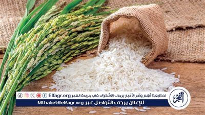 هبوط حاد في سعر الارز الشعير اليوم السبت 2024/5/4 في الأسواق والمجمعات الاستهلاكية