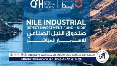 استثمارات صندوق النيل الصناعي.. مسئول يوضح