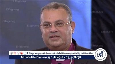 أندرية زكي: الرئيس السيسي حول مفهوم المواطنة من نخبوي لمجتمعي (فيديو)