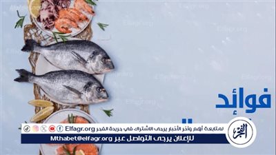 أهمية تناول الأسماك.. فوائد صحية متعددة للجسم والعقل