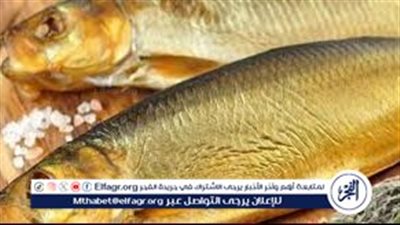 إنفوجراف.. نصائح مهمة من نقابة الأطباء البيطريين عند شراء وتناول الفسيخ والرنجة