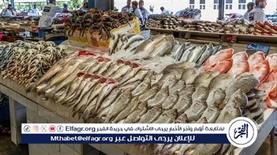 تراجع كبير في أسعار السمك اليوم الأحد بنسبة تصل إلى 20 %