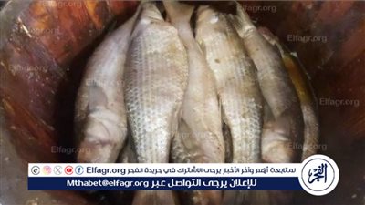 تحذير من خطورة تناول الأسماك المملحة ودعوة لاتباع الاحتياطات الصحية