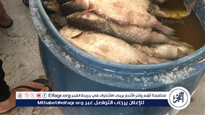 ضبط نصف طن أسماك مملحة فاسدة قبل تداولها في الأسواق بالإسماعيلية