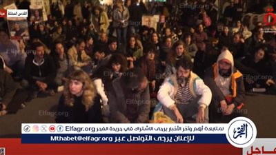 اشتباكات بين المتظاهرين والشرطة الإسرائيلية في تل أبيب (فيديو)