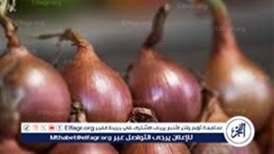 أسعار البصل الأحمر اليوم الثلاثاء 7 مايو 2024 في سوق العبور