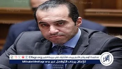 رئيس أمانة الحوار الوطني: ندعم القيادة السياسية في اتخاذ ما يلزم لحماية أمن مصر القومي 