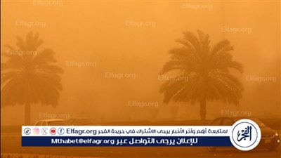 أتربة وطقس شديد الحرارة.. الأرصاد تُحذر من الحالة الجوية غدا الخميس (فيديو)