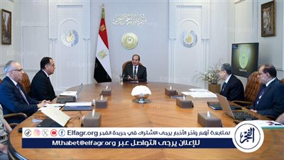 عاجل| السيسي يصدر توجيهات جديدة لوزيري الكهرباء والري