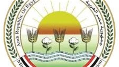 الزراعة: طبق البيض بـ 150 جنيها.. وأسعار منافذنا أقل بـ 25 % من الأسواق