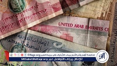 سعر الدرهم الإماراتي في البنك المركزي المصري اليوم 17/3/2025