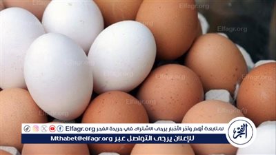أسعار طبق البيض اليوم الخميس 3-7-2025 في الدقهلية