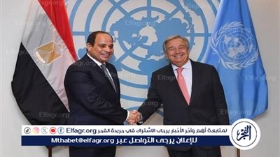 الرئاسة المصرية: السيسي وجوتيرش يحذران من العواقب الإنسانية الهائلة للهجوم الإسرائيلي على رفح