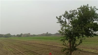 تواجد كثيف للغيوم وطقس غير مستقر في محافظة المنوفية