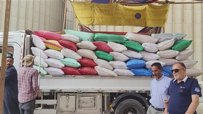وكيل تموين الدقهلية: استقبلنا 225 ألف طن قمح في الشون والصوامع