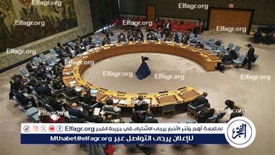 أمريكا تؤكد أنها ستعارض مجددا في مجلس الأمن الدولي طلب فلسطين الحصول على العضوية