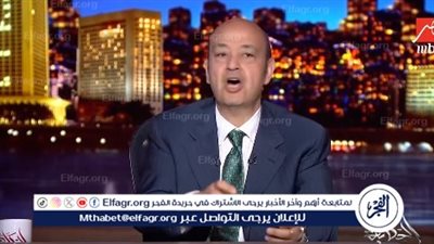 عمرو أديب: لعنة مصر هي الموظفين.. 