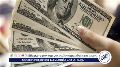 استقرار سعر الدولار مقابل الجنيه المصري: آخر تحديثات الأسعار