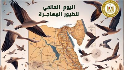 وزيرة البيئة تعلن مشاركة مصر في الاحتفال باليوم العالمي للطيور المهاجرة 2024