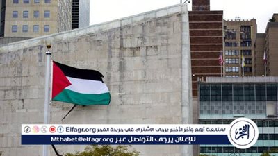 سفير فلسطين السابق لدى الاتحاد الأوروبي: الاعترافات المتتالية بالدولة الفلسطينية تمثل تصحيحًا تاريخيًا