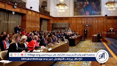 ممثل جنوب إفريقيا: انضمام مصر في الدعوى المرفوعة ضد إسرائيل خطوة ضرورية