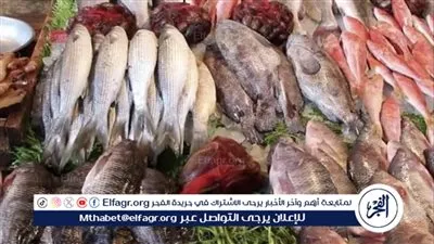 استقرار أسعار السمك في الأسواق المحلية خلال الأحد 12 مايو 2024 بعد مبادرة 