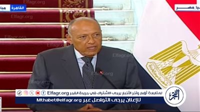 شكري: مصر وقبرص حريصتان على تعزيز العلاقات الثنائية في كافة المجالات (فيديو)