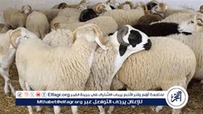 هل يوجد اختلاف في مواعيد العيد بالدول العربية هذا العام؟.. موعد عيد الأضحى بالدول العربية