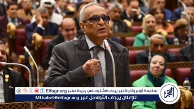 وكيل الشيوخ: مصر تعاني من كبر حجم الاقتصاد غير الرسمي