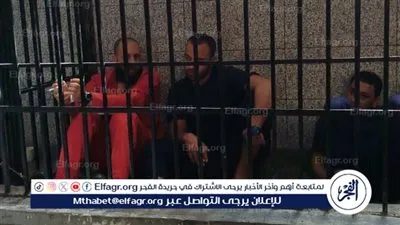 المؤبد للمتهم بقتل زوجته لتقديمها قربانا لفتح مقبرة أثرية في الفيوم