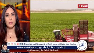برلماني: مشروع مستقبل مصر يساهم في زيادة الصادرات المصرية من المنتجات الزراعية