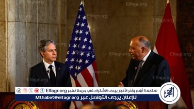 بلينكن يبلغ شكري: واشنطن لا تدعم عملية برية كبيرة في رفح