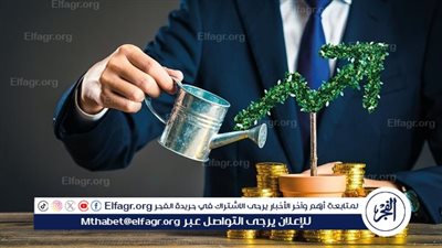 الاستثمار في مصر.. فرص واعدة وفوائد متعددة 