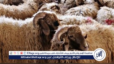 عيد الأضحى المبارك 2024: سنن التقسيم والذبح وآدابه